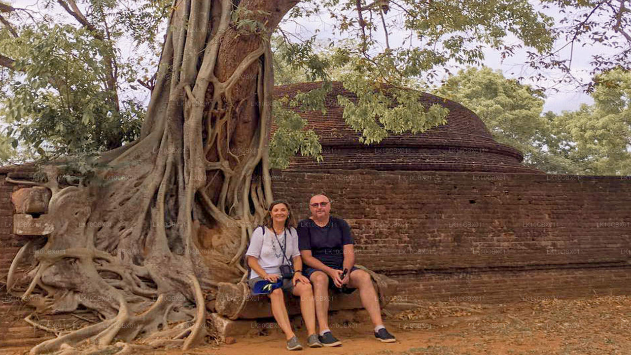 Удивительная Шри-Ланка (24 дня)