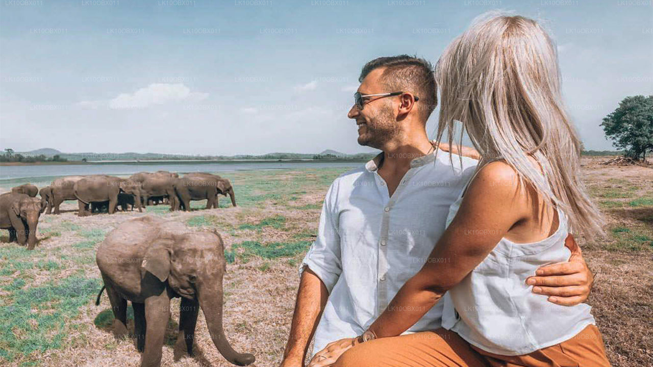 Удивительная Шри-Ланка (24 дня)