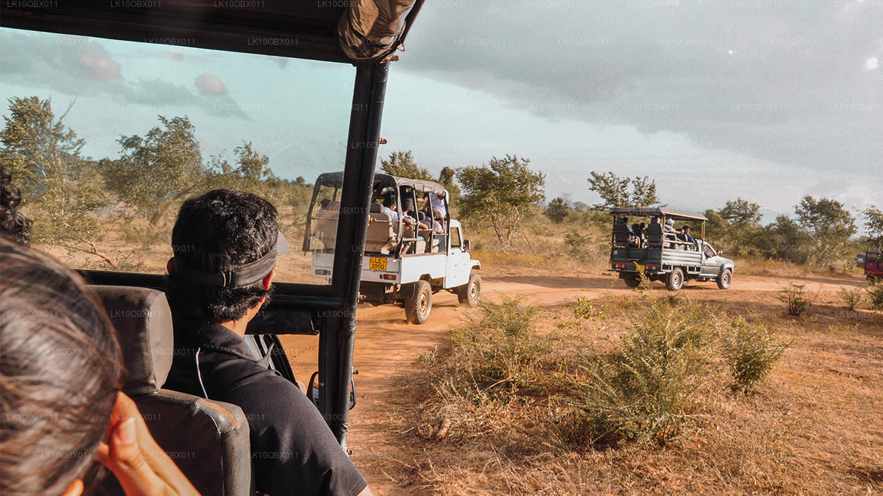 Удивительная Шри-Ланка (24 дня)