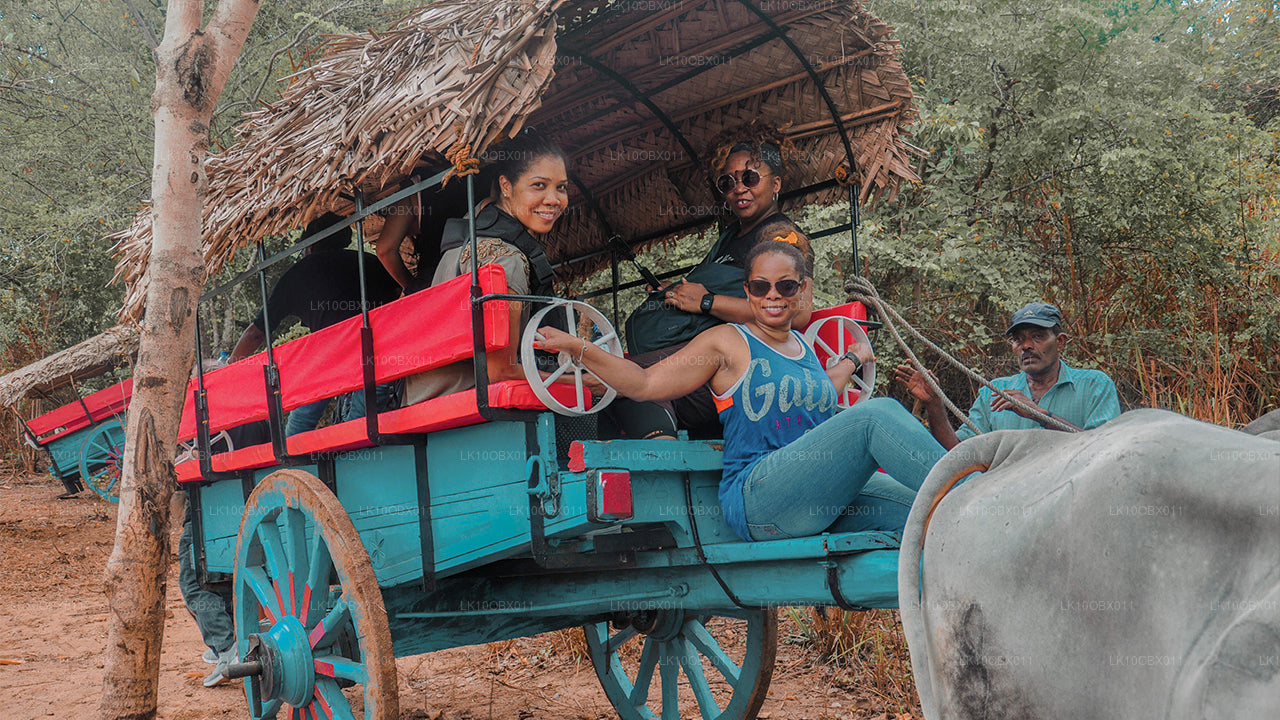 Удивительная Шри-Ланка (24 дня)