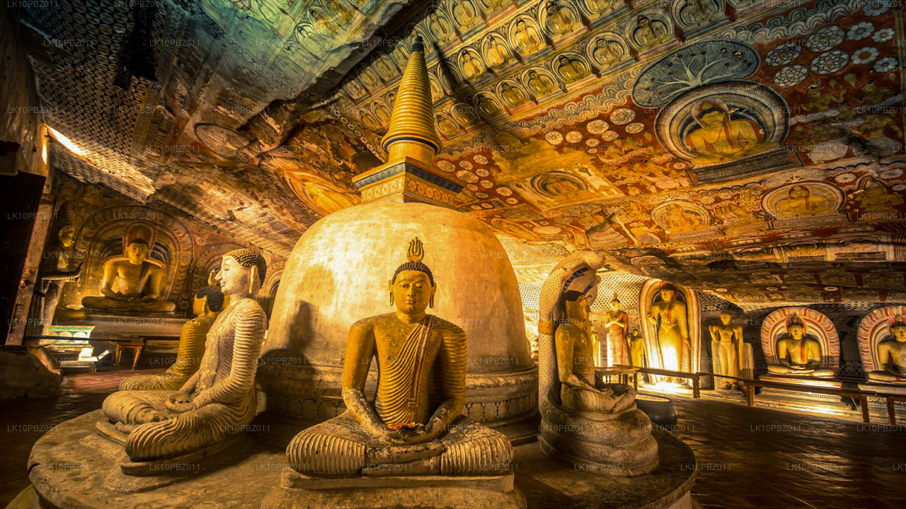 Удивительная Шри-Ланка (25 дней)