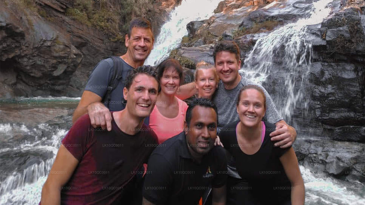 Цейлонская ласка (26 дней)