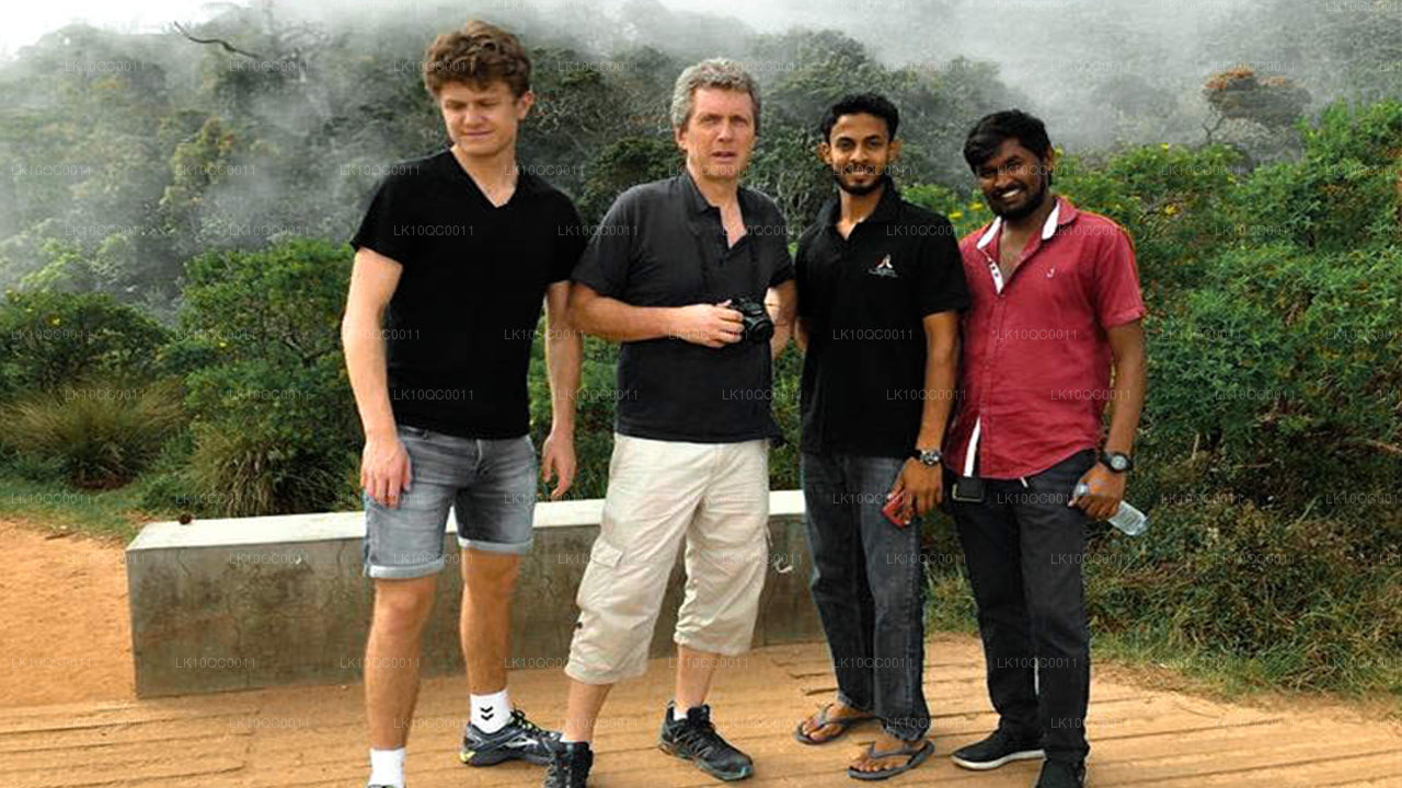 Цейлонская ласка (26 дней)