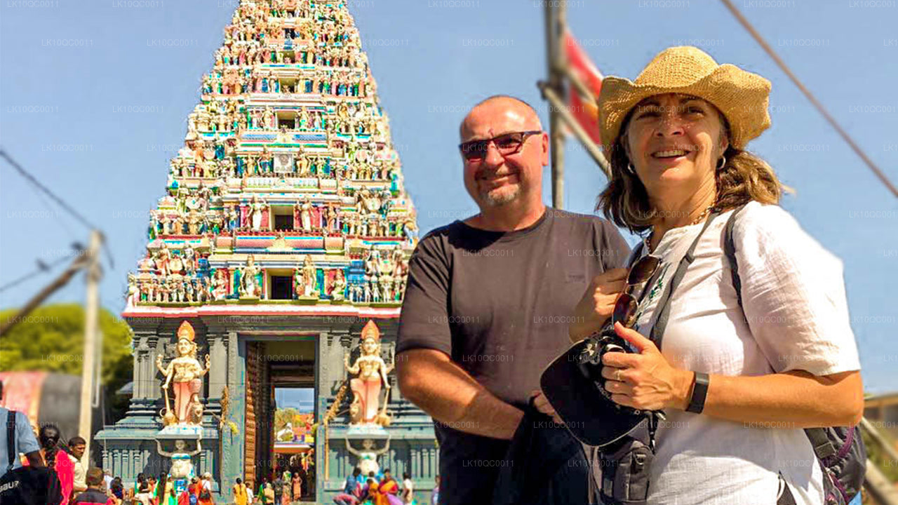 Цейлонская ласка (26 дней)