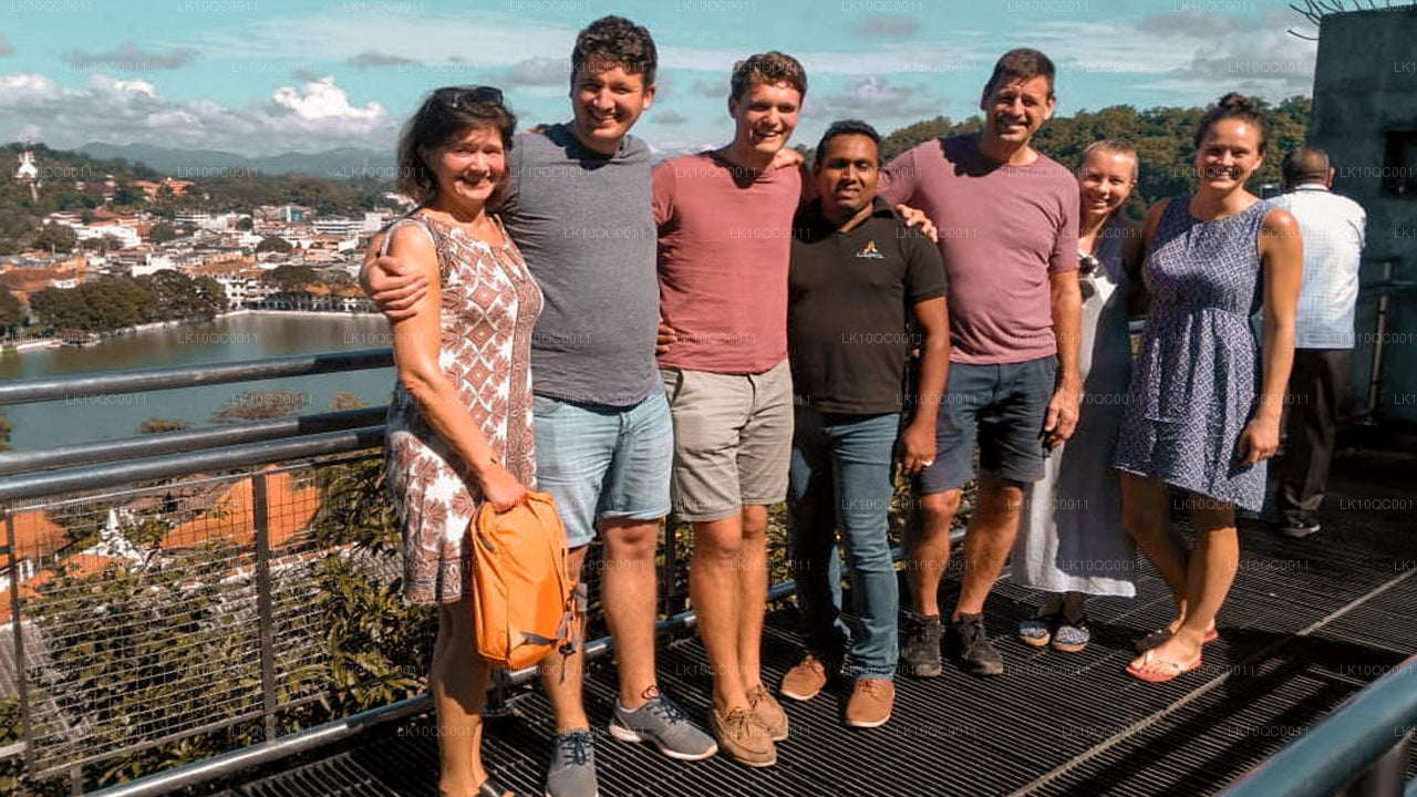 Цейлонская ласка (26 дней)