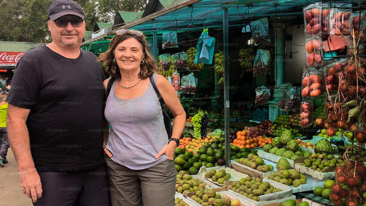 Цейлонская ласка (26 дней)