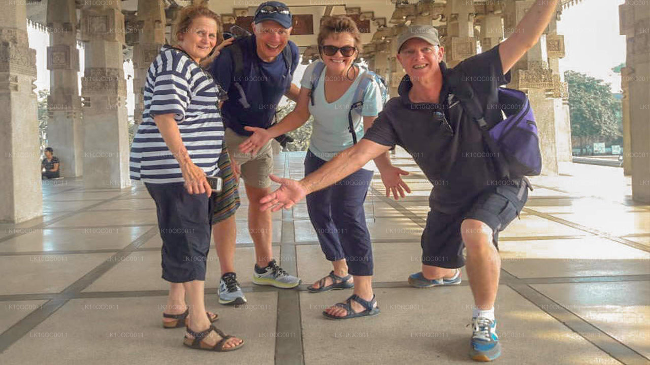 Цейлонская ласка (26 дней)