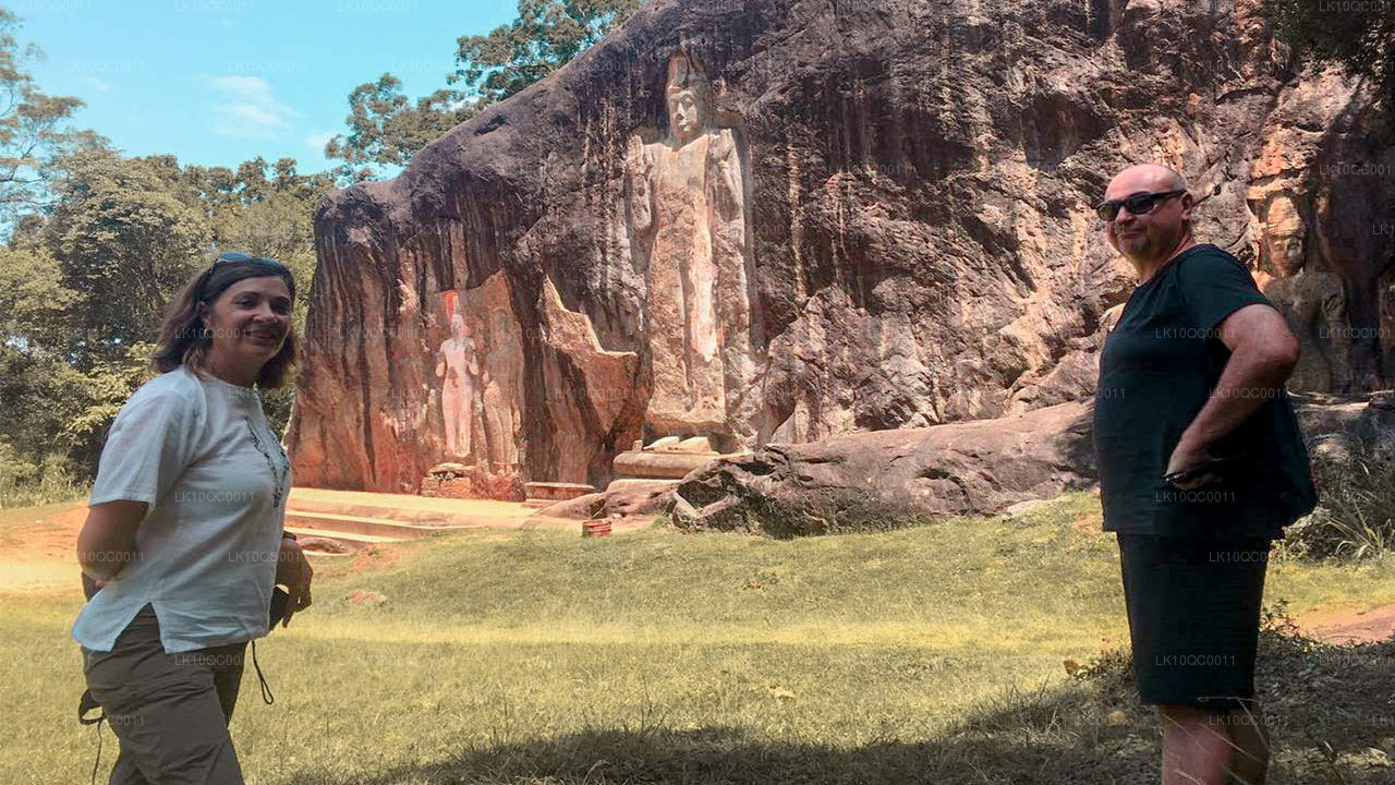 Цейлонская ласка (26 дней)