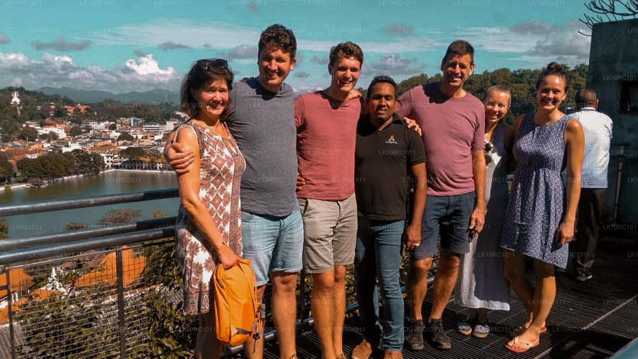 Цейлонская ласка (27 дней)