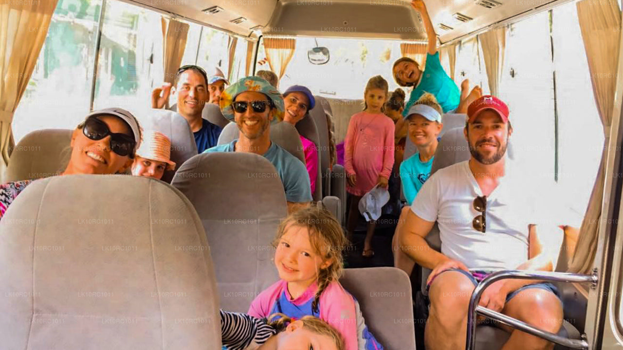 Цейлонская ласка (27 дней)