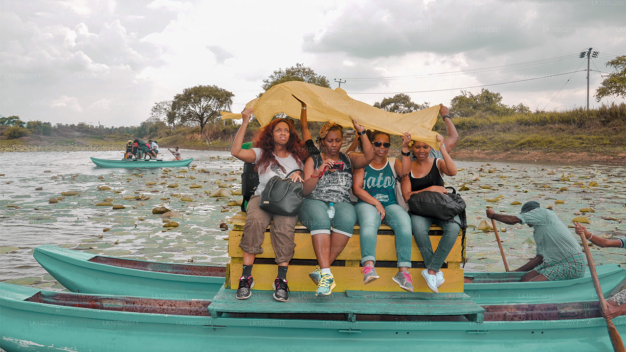 Цейлонская ласка (28 дней)