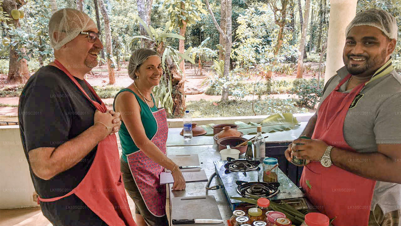 Цейлонская ласка (28 дней)