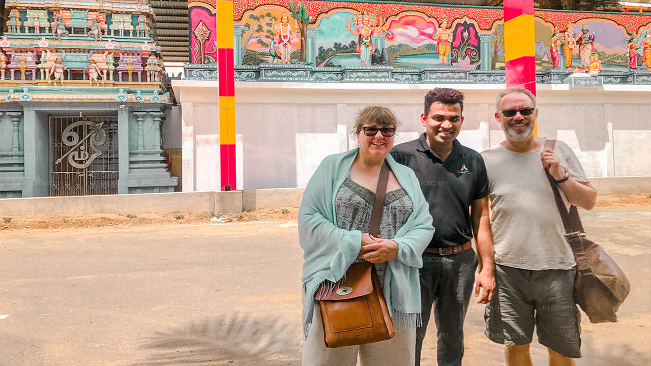 Цейлонская ласка (28 дней)