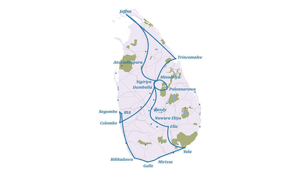 Цейлонская ласка (28 дней)