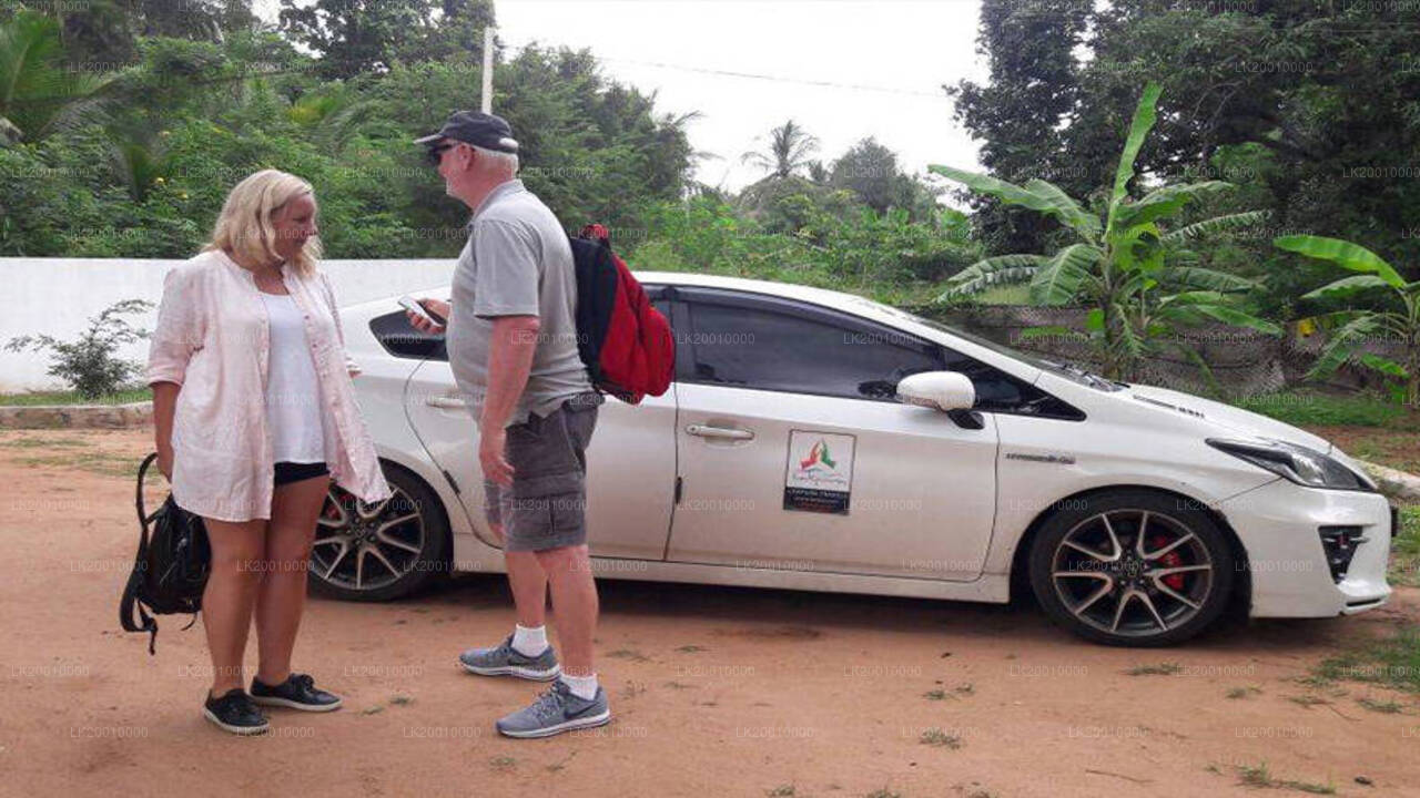 Аренда автомобиля с водителем (стандарт)