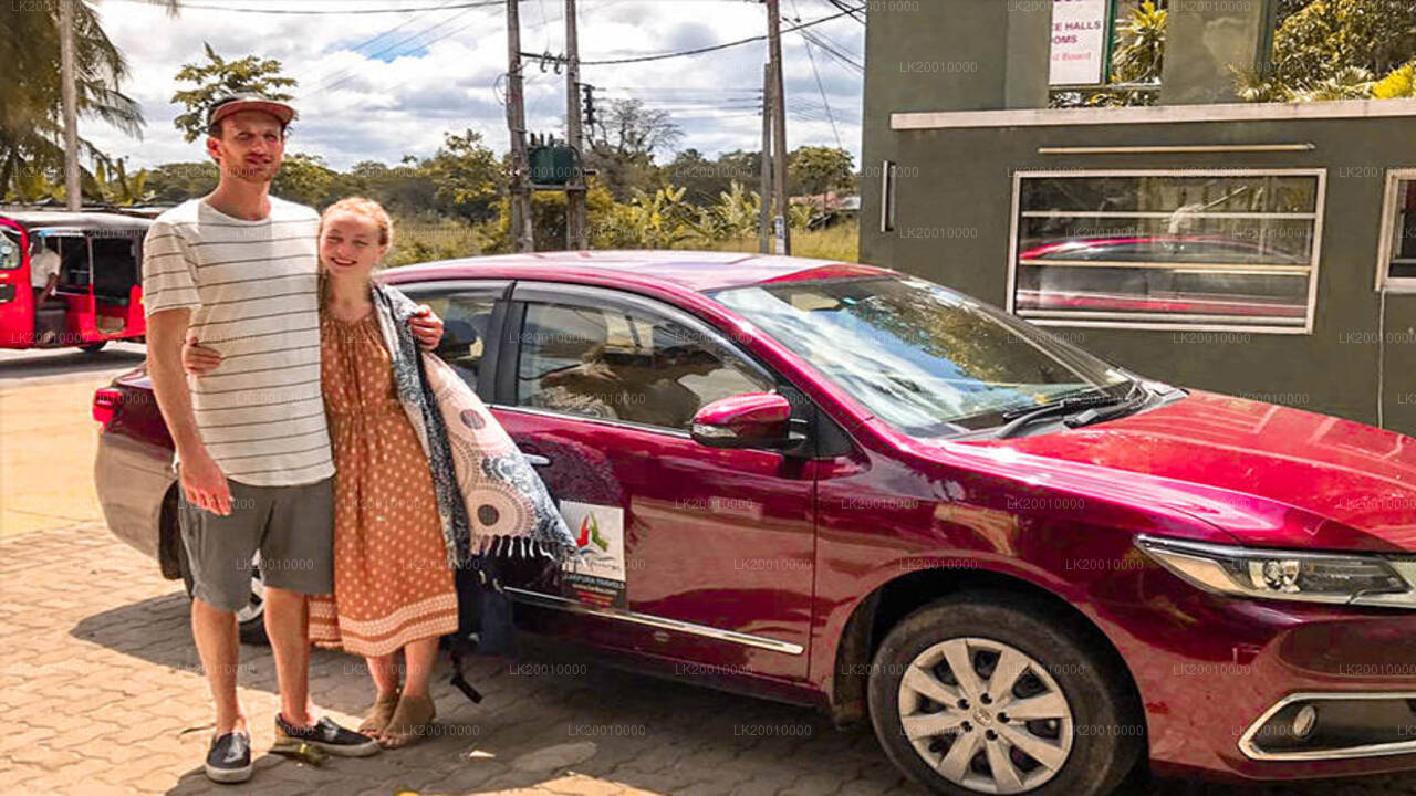 Аренда автомобиля с водителем (стандарт)