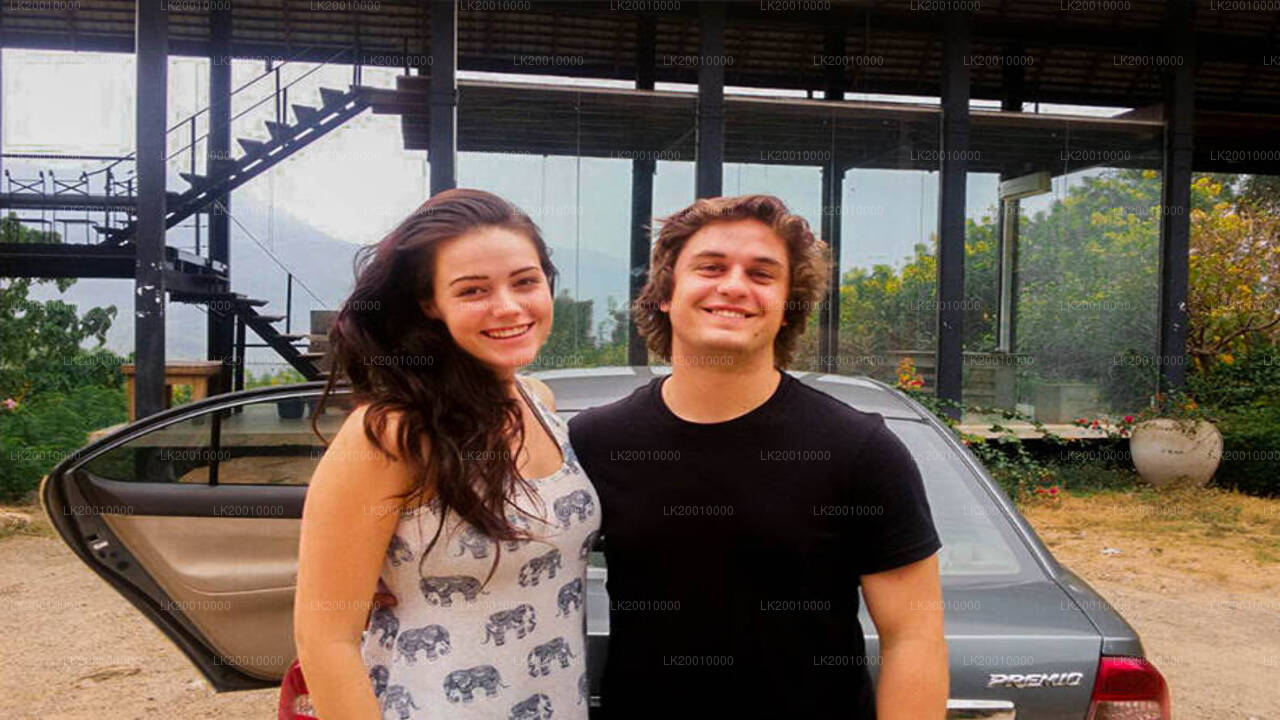 Аренда автомобиля с водителем (стандарт)