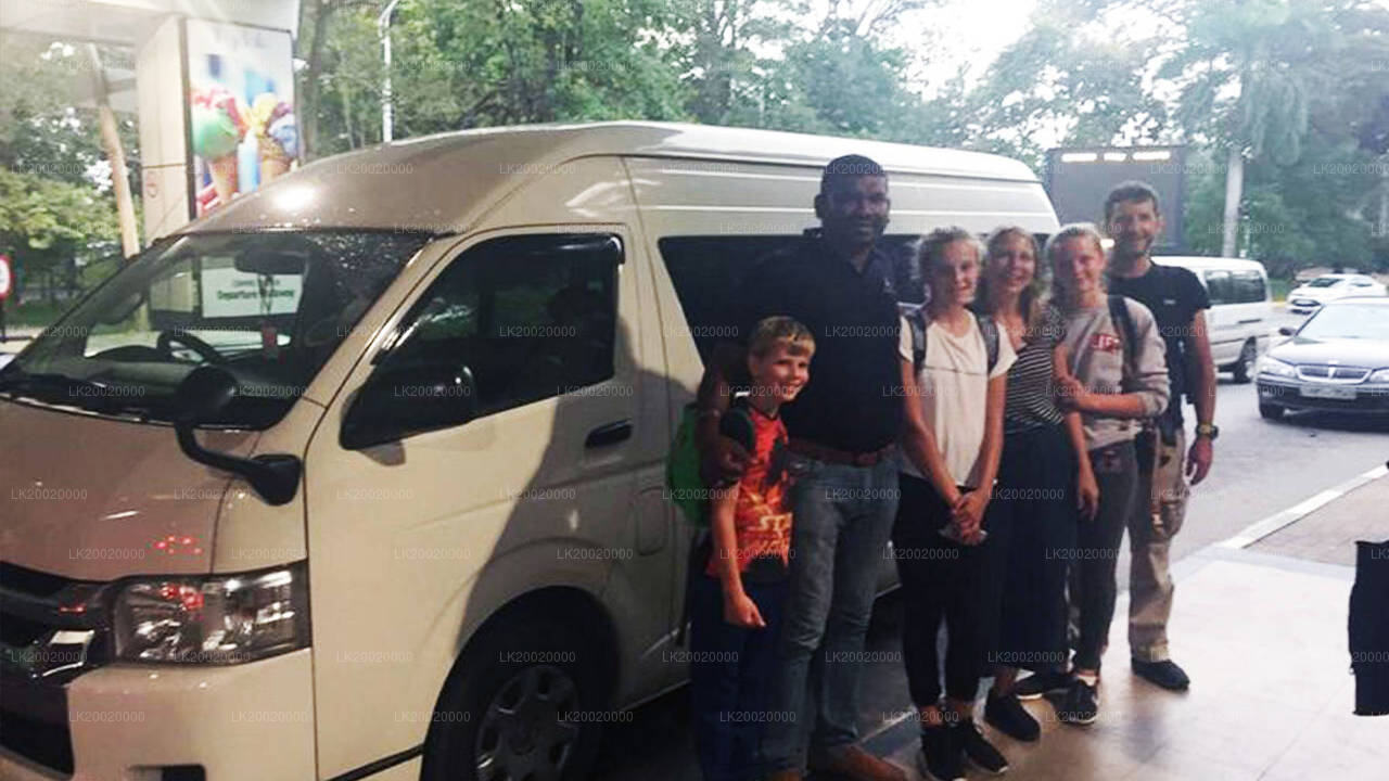 Аренда микроавтобуса с водителем (большого размера)