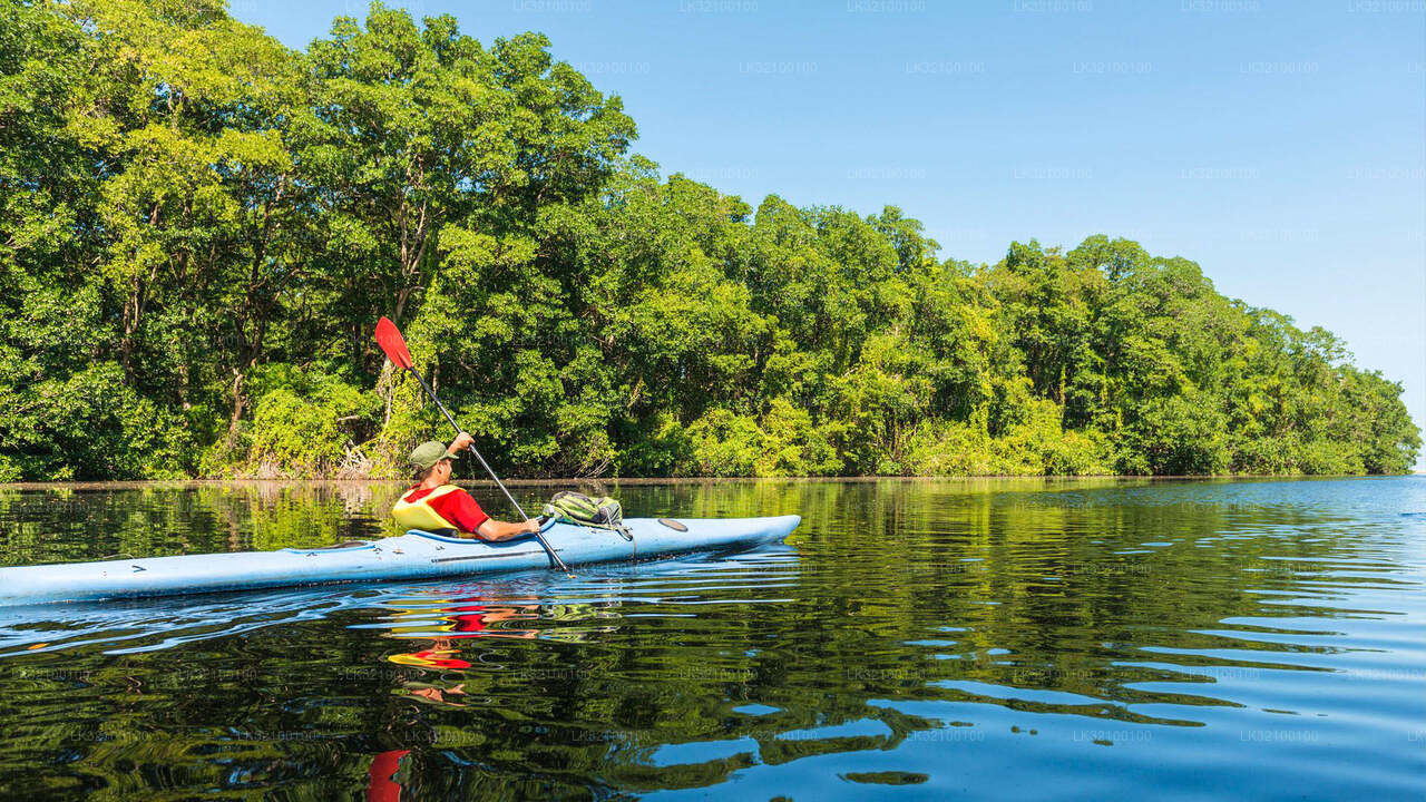 Поход на каноэ из Китулгалы