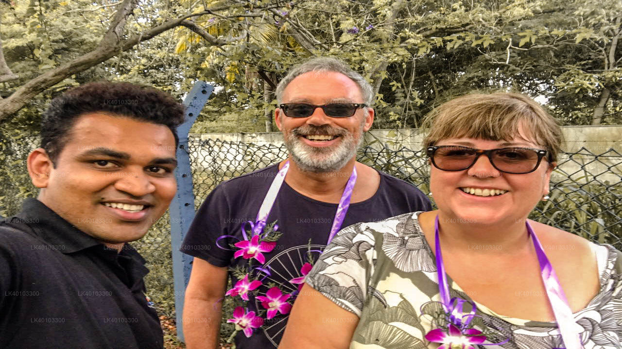 Частный трансфер из аэропорта Коломбо (CMB) в город Хиккадува