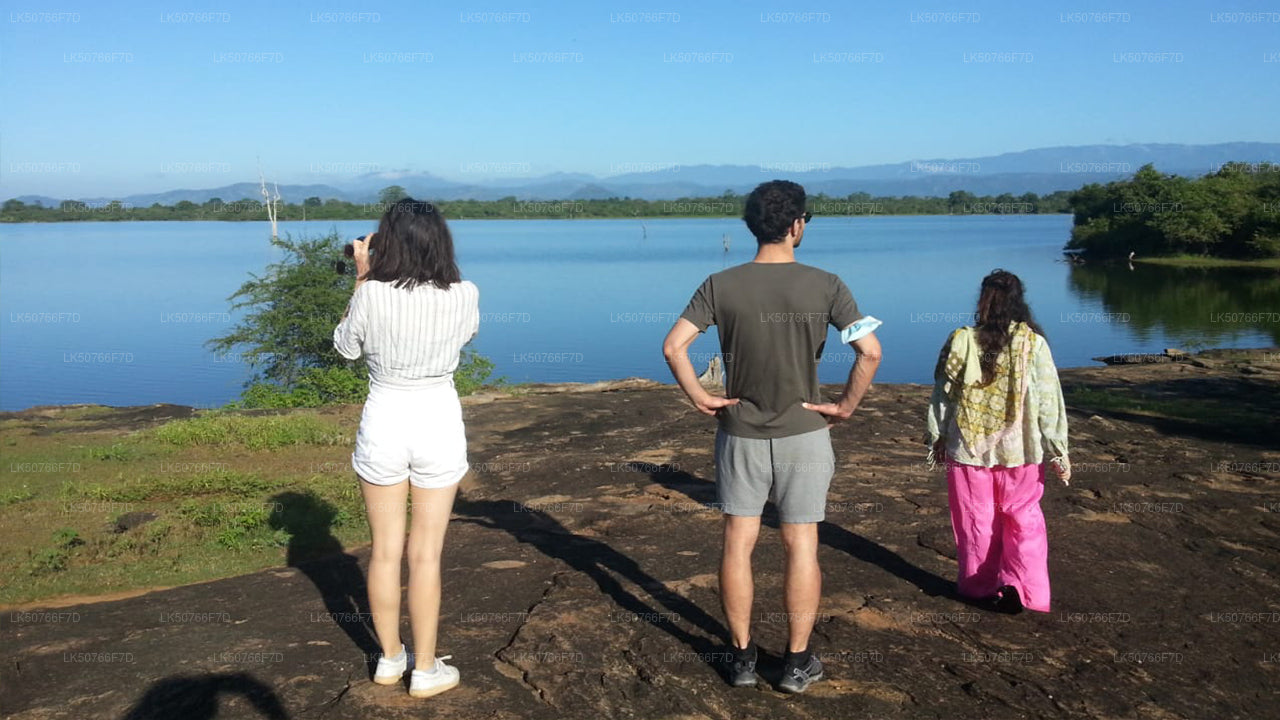 Частное сафари в национальном парке Удавалаве с натуралистом