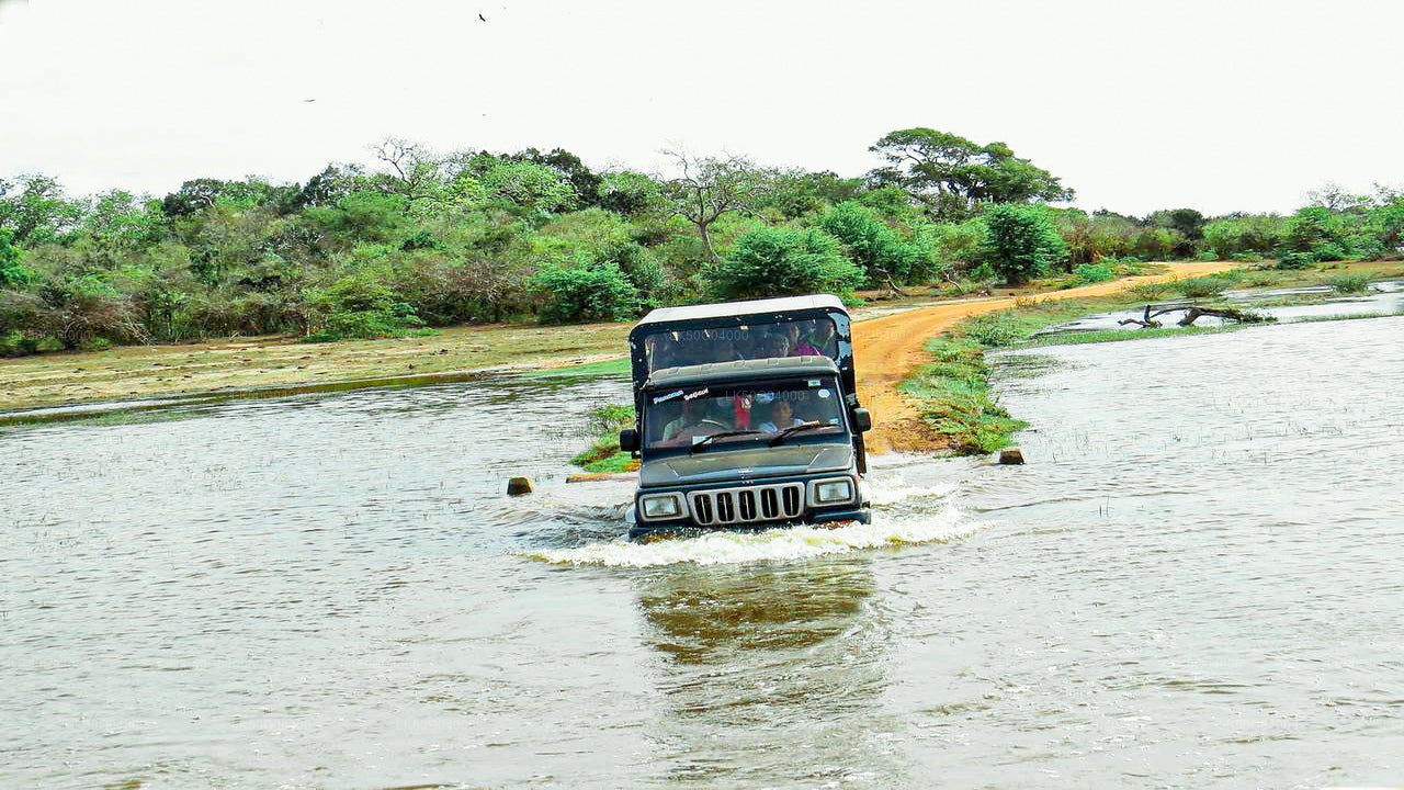 Kumana National Park Private Safari from Pottuvil