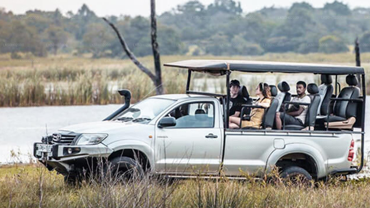 Частное сафари в национальном парке Бундала с натуралистом
