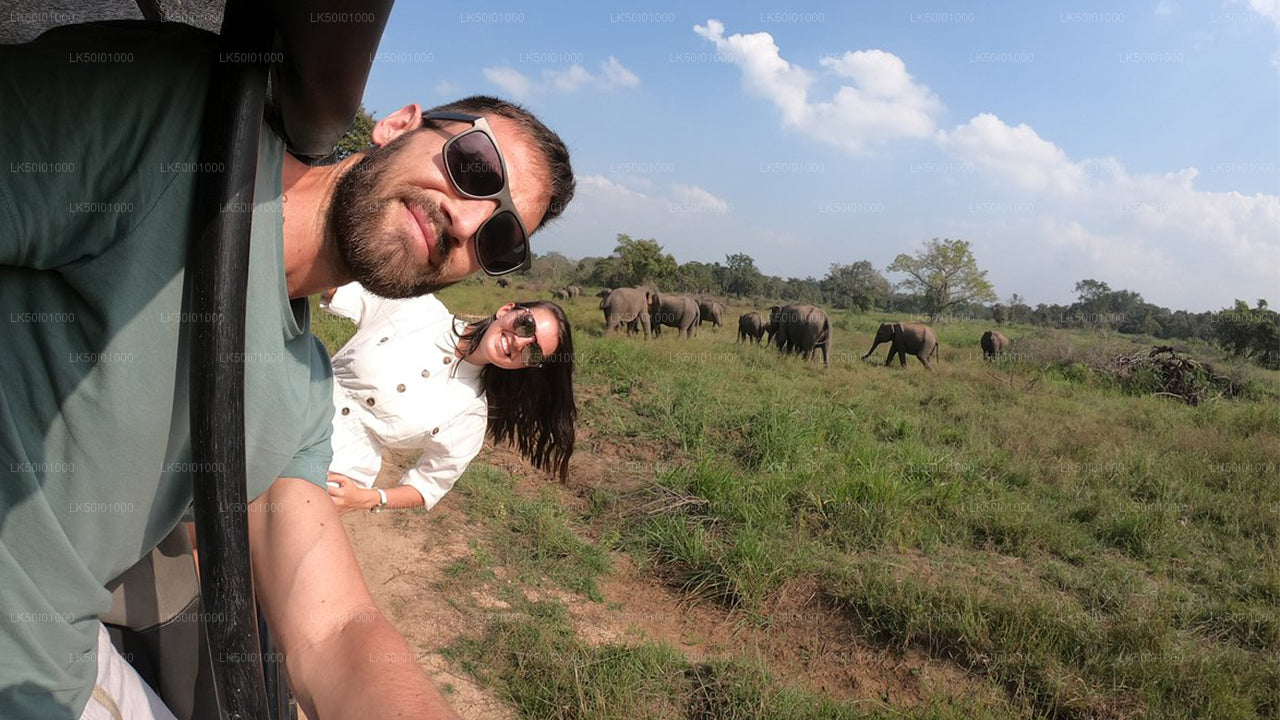 Частное сафари в национальном парке Васгамува