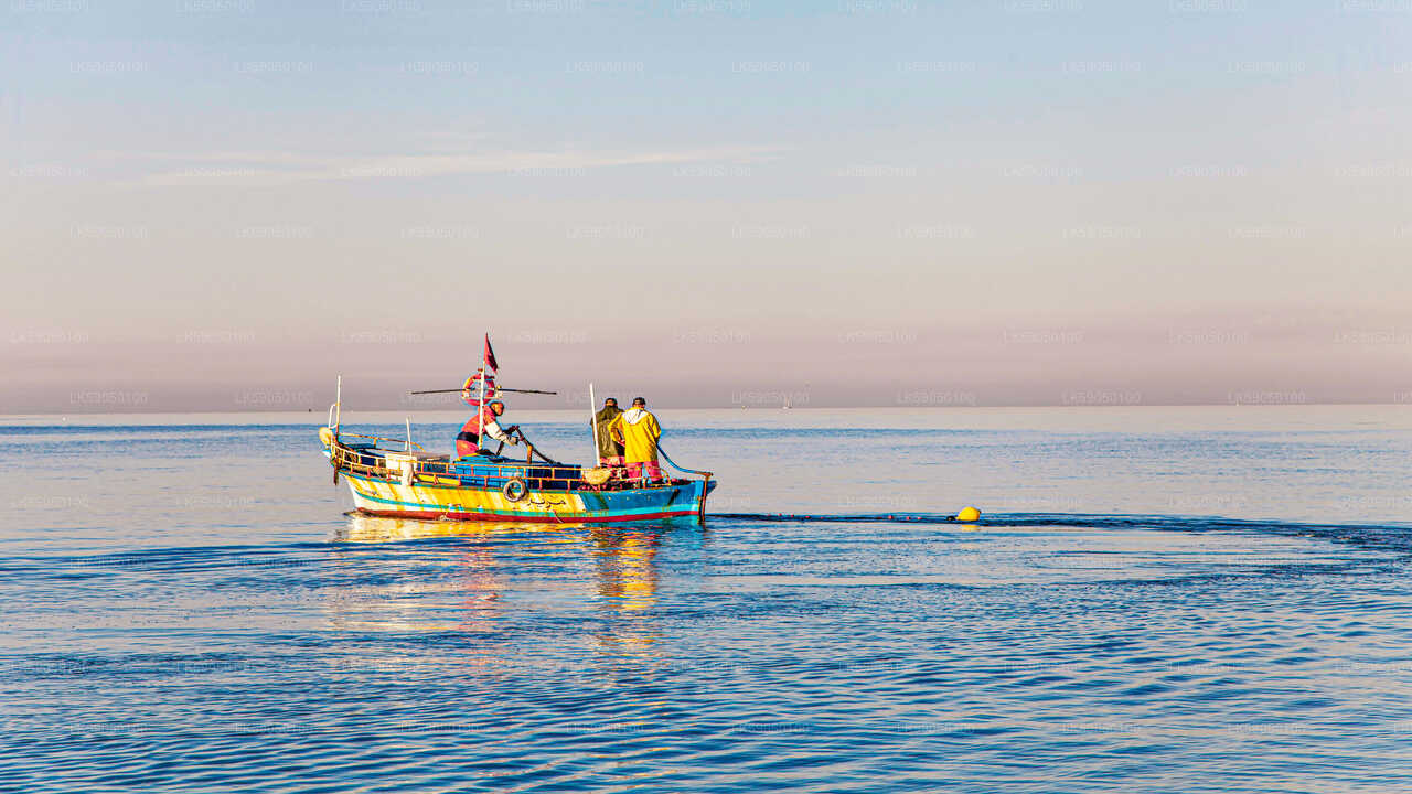 Sport Fishing from Negombo