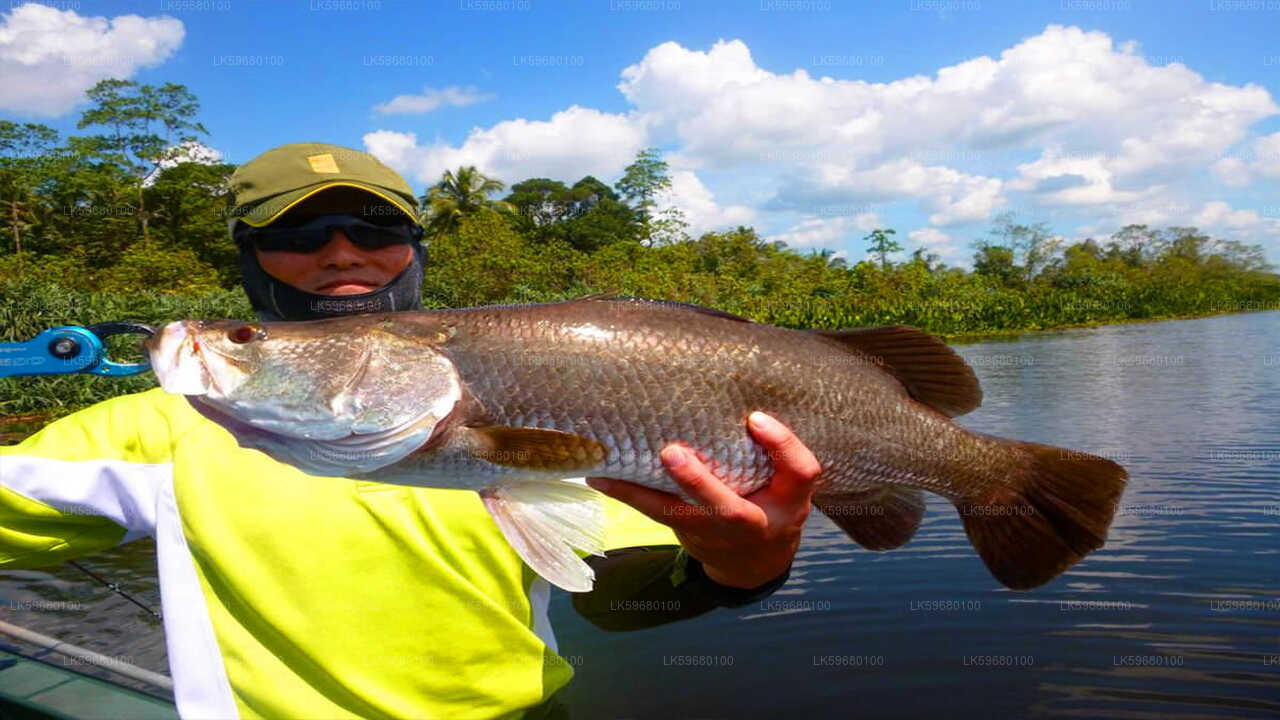 Freshwater Fishing at Bolgoda Lake from Colombo