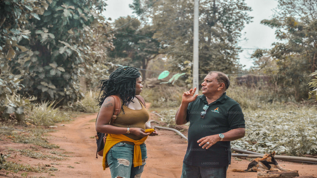 Экскурсия по деревне Хиривадунна из Хабараны