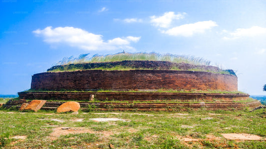 Temple Run Tour from Arugambay