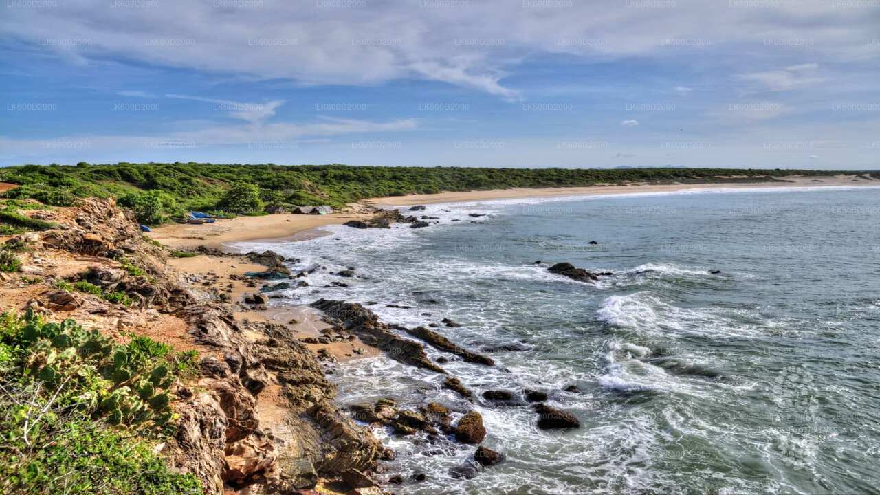 Сафари в национальном парке Бундала из Бентоты
