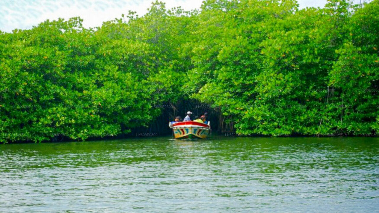 Экскурсия по городу Бентота и поездка в Галле из Берувалы.