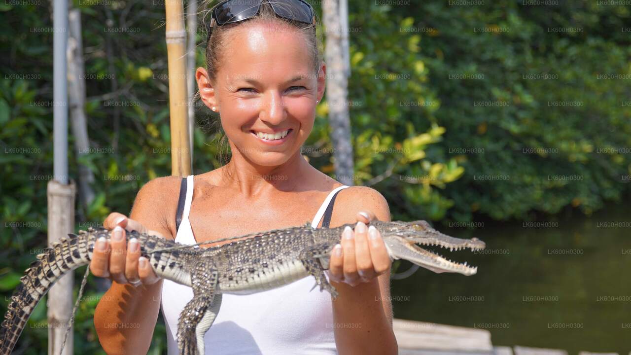 Поездка по побережью в Галле из Коломбо