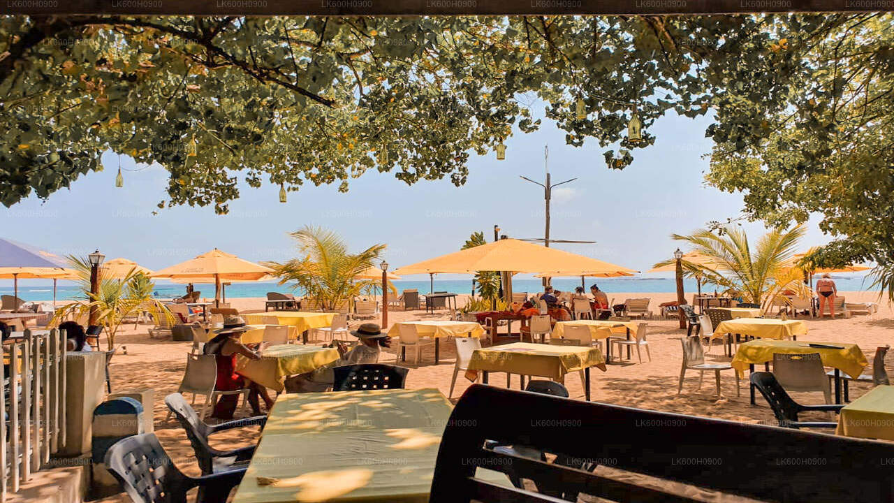 Количество человек