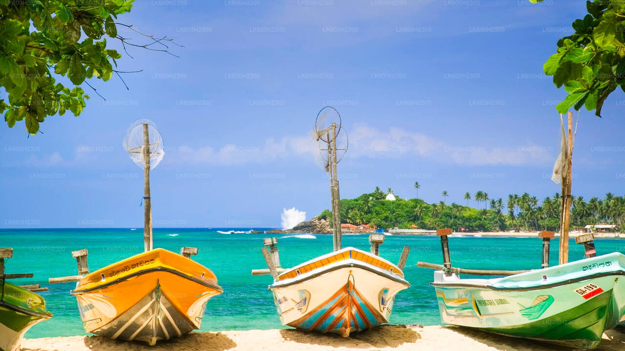 Экскурсия по Негомбо из Коломбо