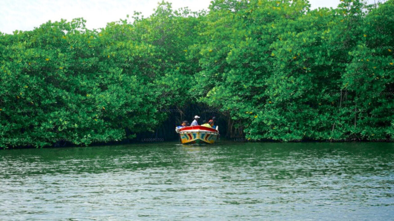 Экскурсия по древнему голландскому форту и речное сафари из Галле