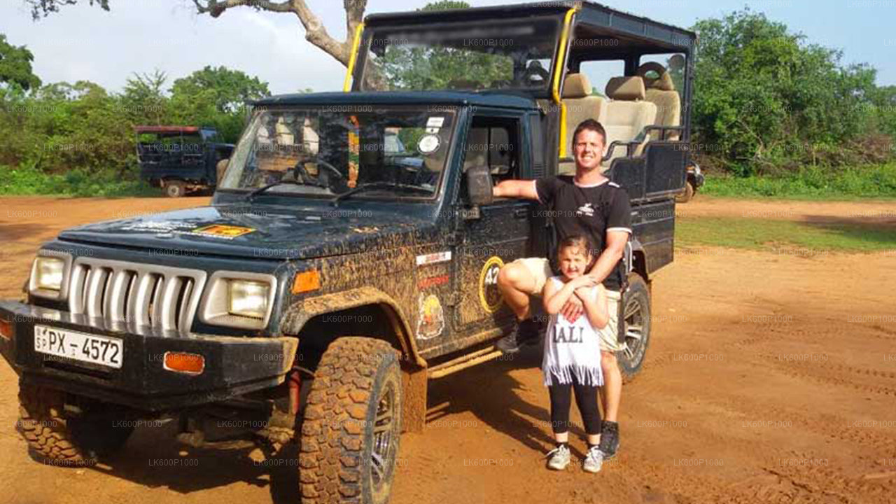 Сафари в национальном парке Яла из Галле