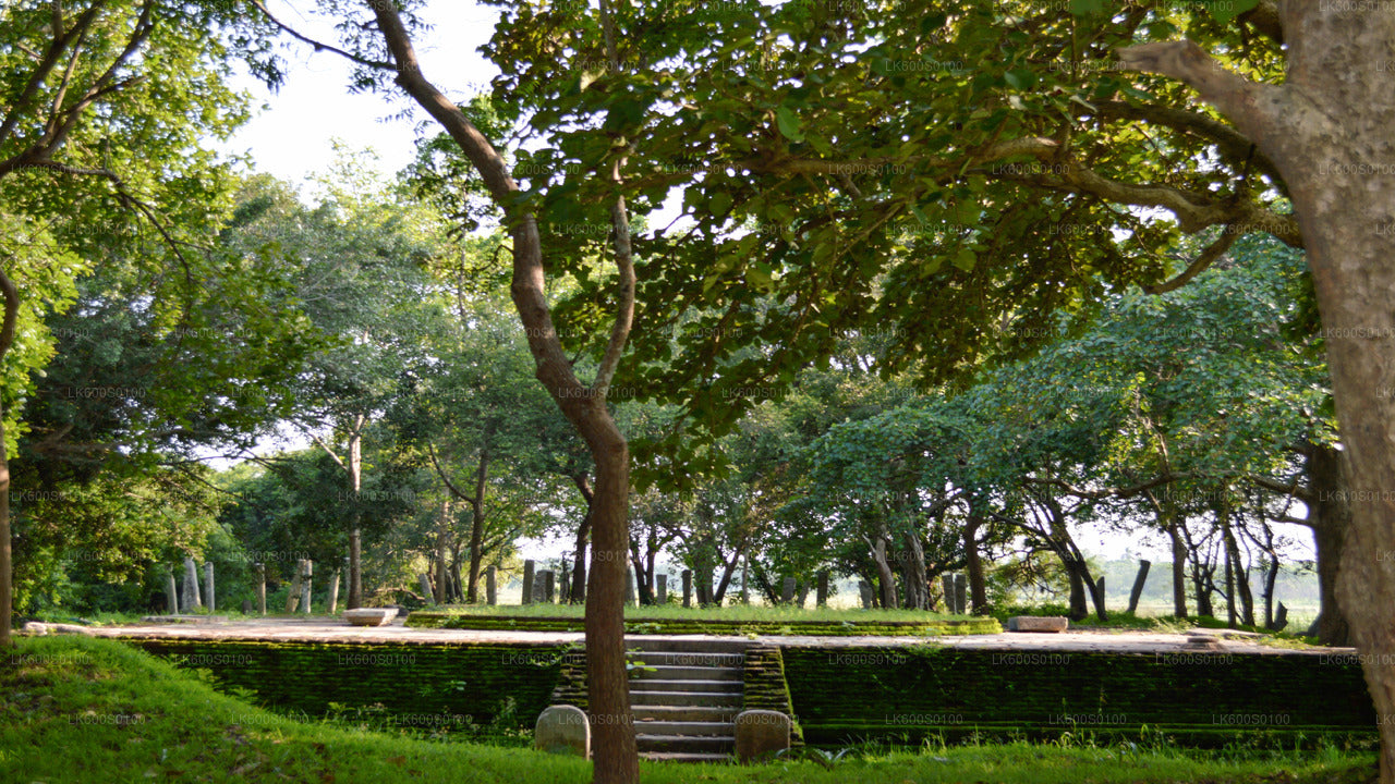 Sacred City of Anuradhapura from Habarana