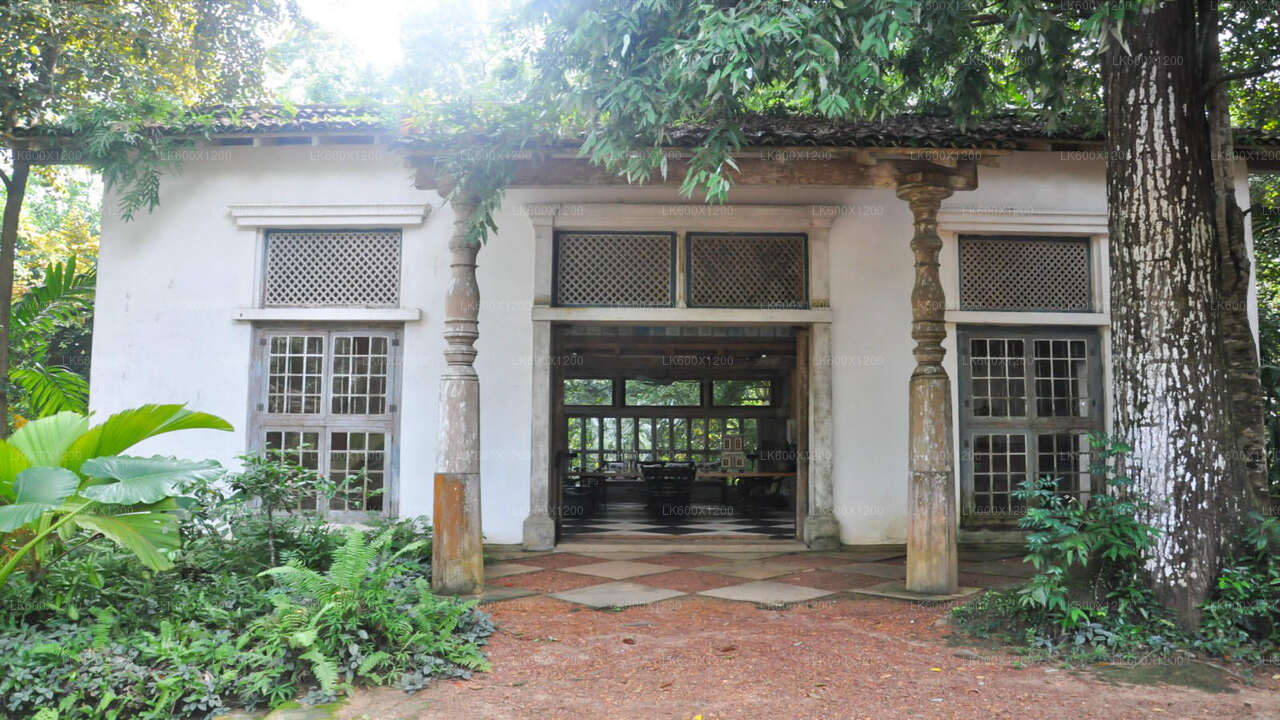 Excursão pela cidade de Bentota saindo de Hikkaduwa