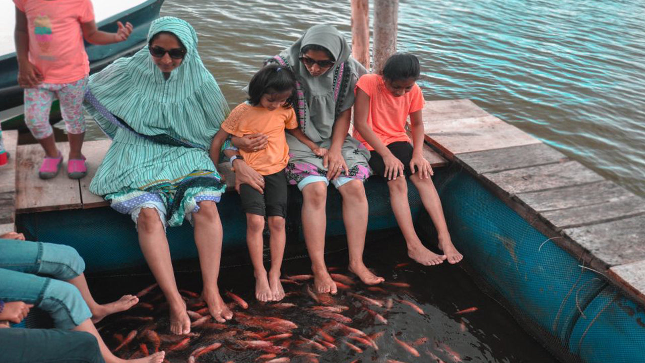 Балапития, Хандунугода и Галле из Бентоты