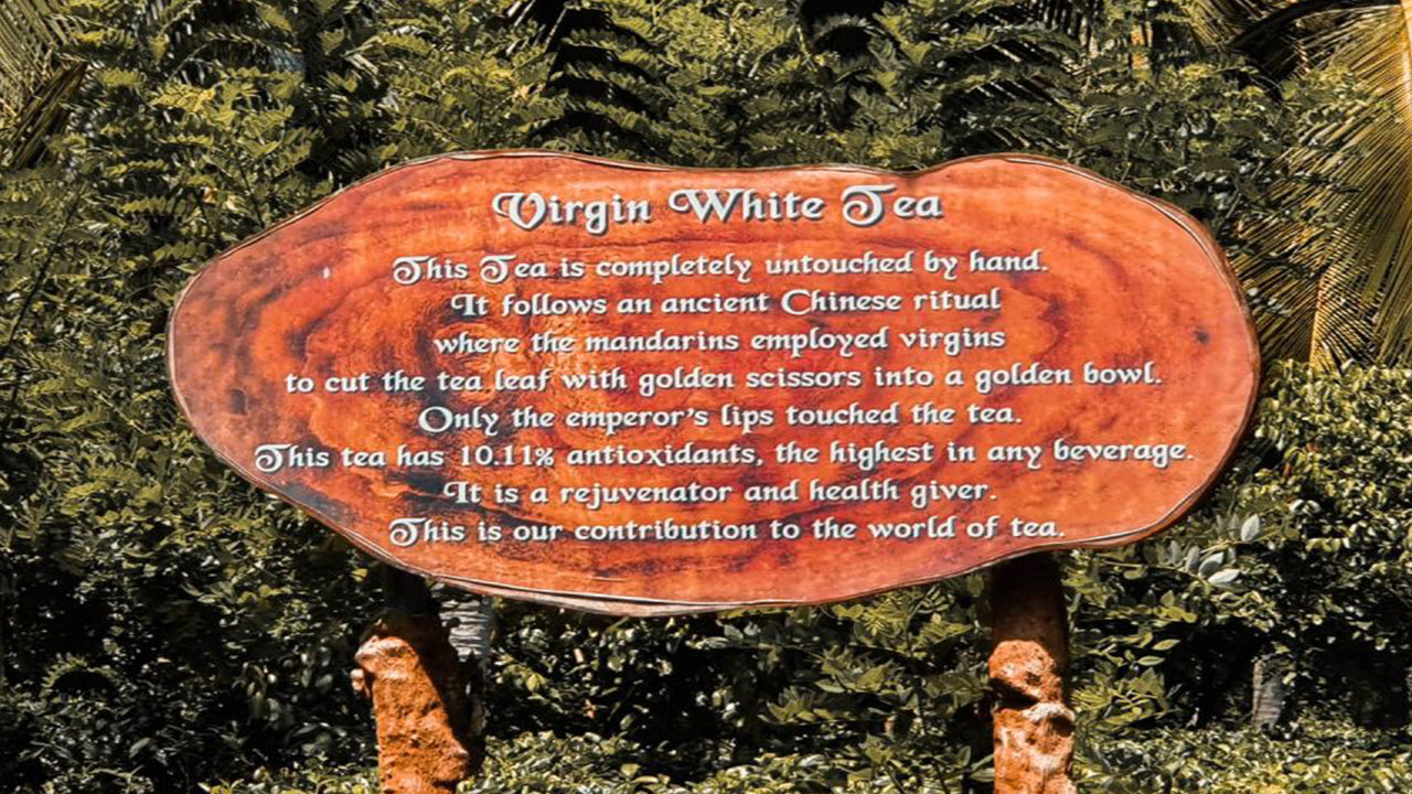 Балапития, Хандунугода и Галле из Бентоты