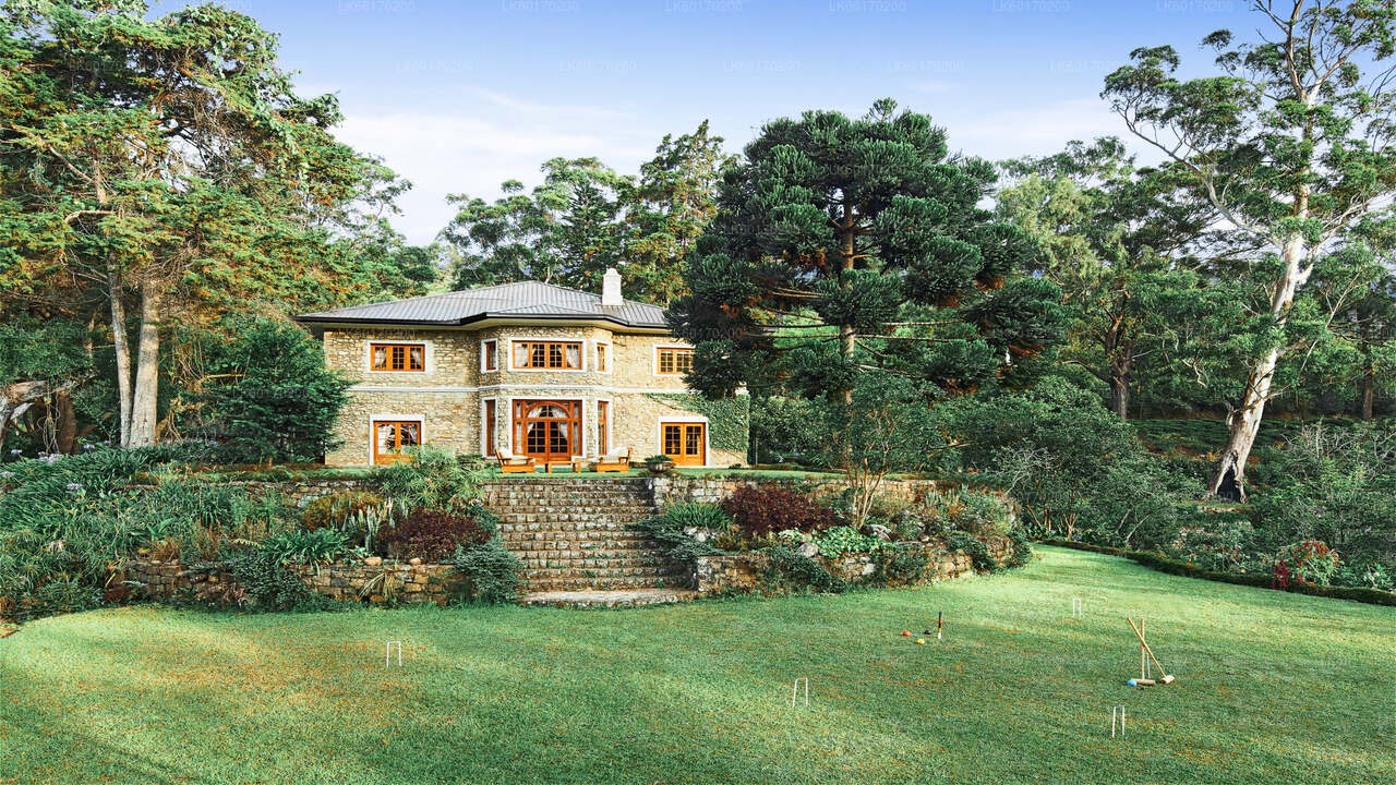 Хайленд Нувара Элия из Канди