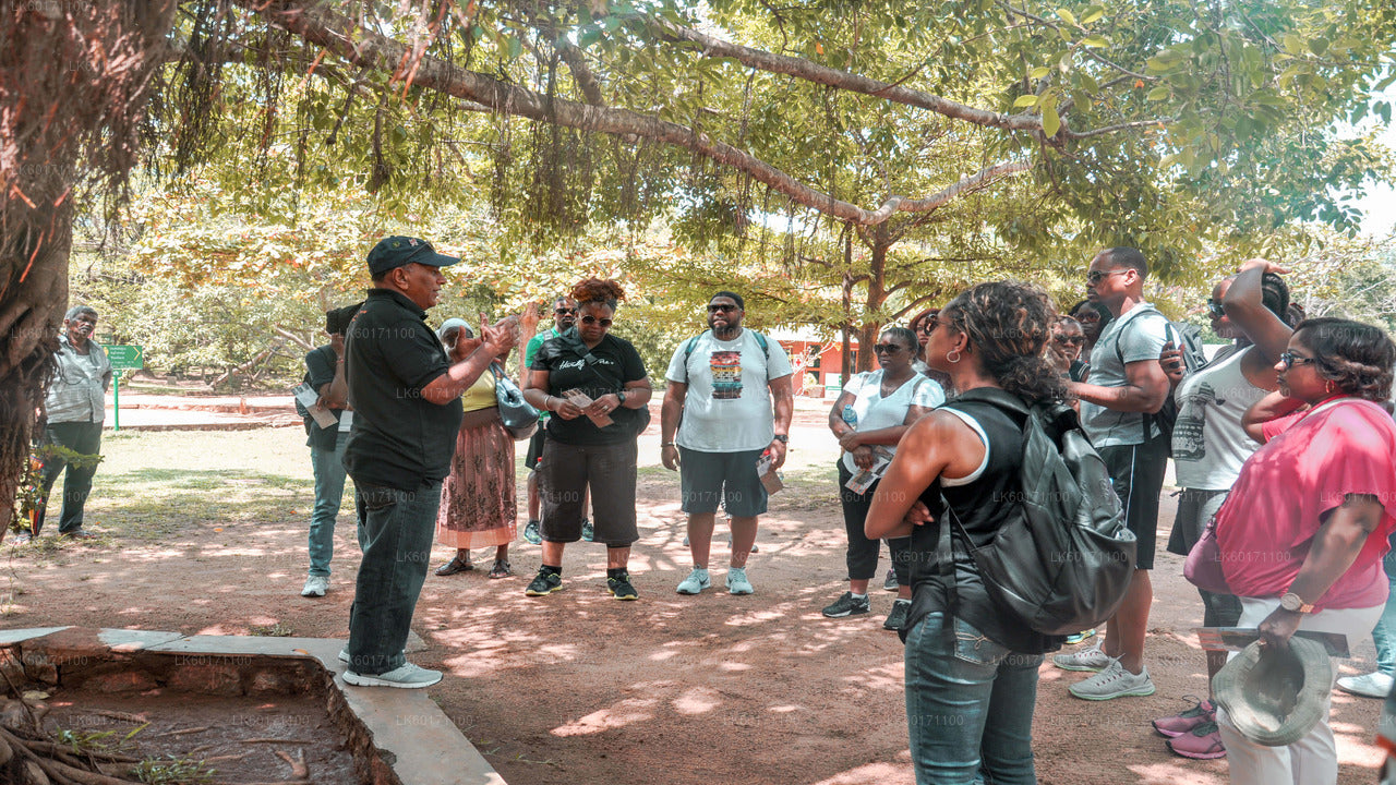 Сигирия и Дамбулла из Канди.