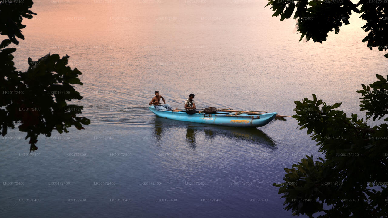 Экскурсия в деревню аборигенов из Канди