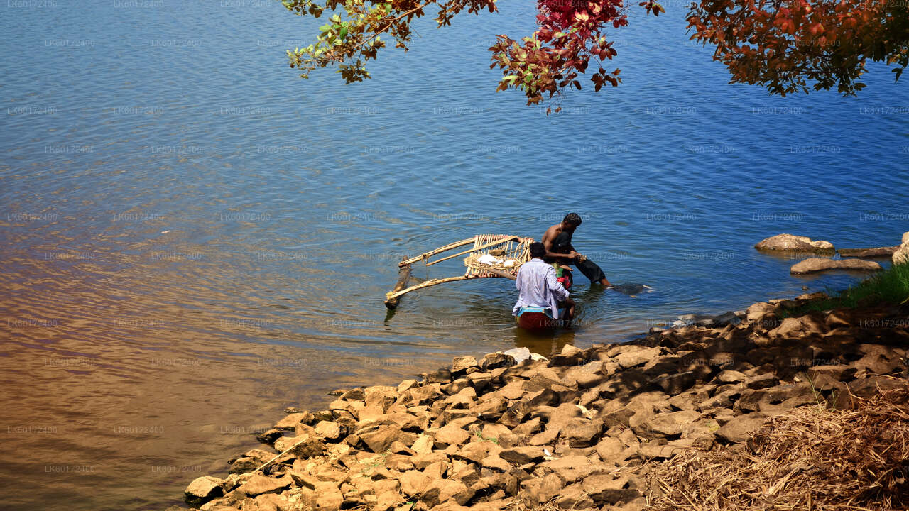 Экскурсия в деревню аборигенов из Канди