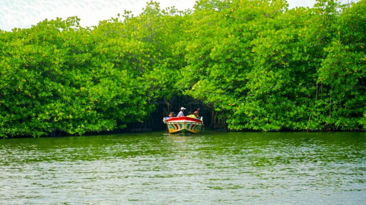 Экскурсия по городу Бентота из Тангалле.