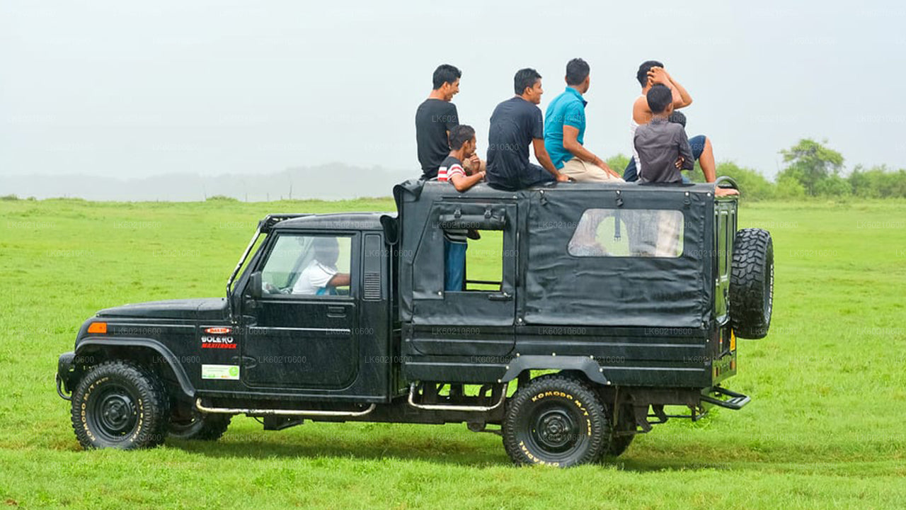 Сафари в национальном парке Бундала из Тангалле