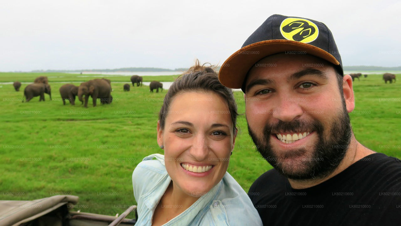 Сафари в национальном парке Бундала из Тангалле